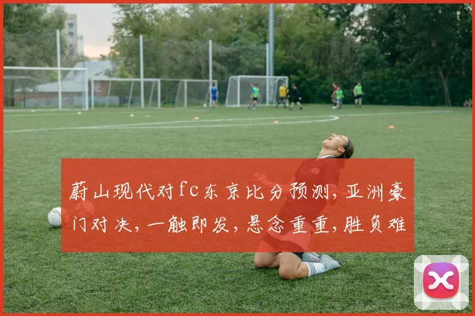 蔚山现代对fc东京比分预测,亚洲豪门对决,一触即发,悬念重重,胜负难料,拭目以待。