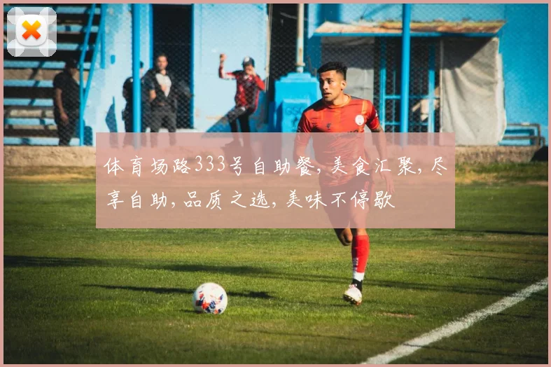 体育场路333号自助餐,美食汇聚,尽享自助,品质之选,美味不停歇